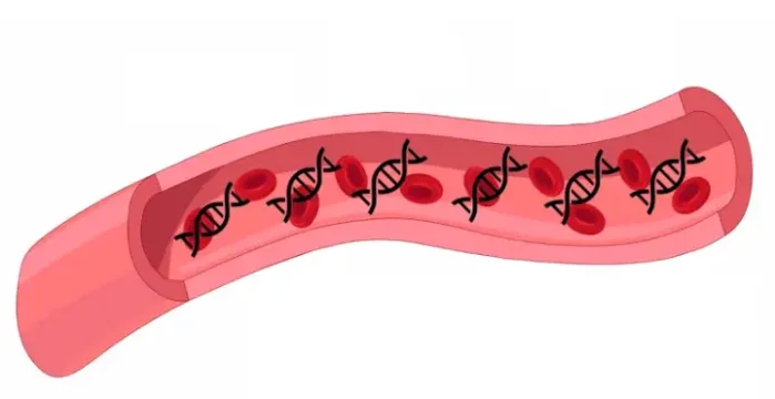 L’étude de l’ADN circulant peut aider au diagnostic du cancer du poumon.